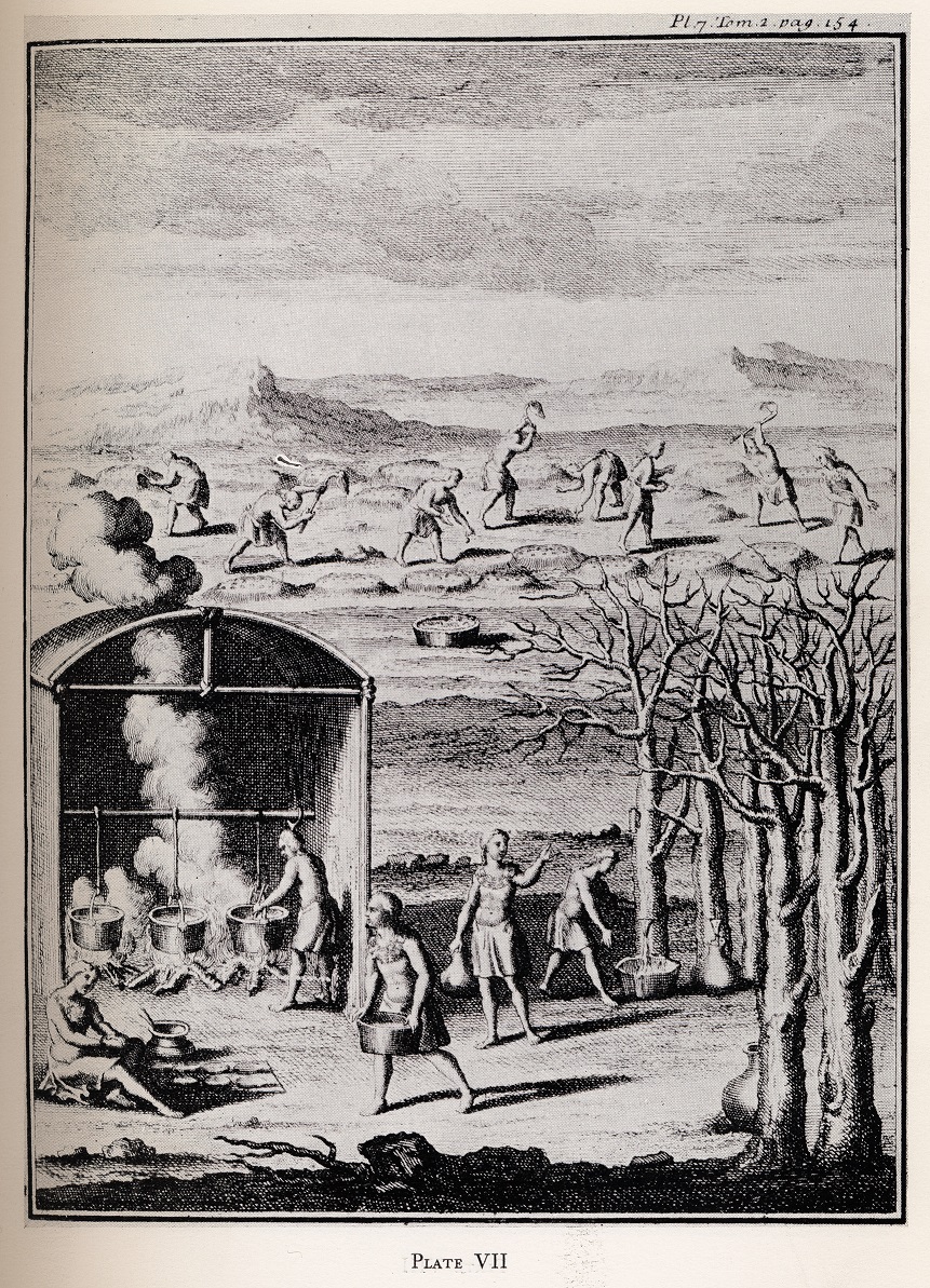 18th century engraving of Native Americans boiling maple sugar